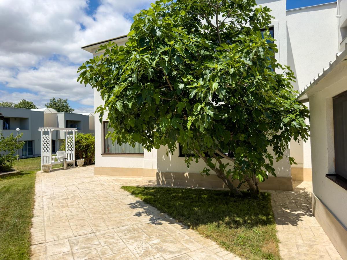 Avenue - Avenue 3*